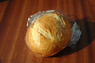 2010100101.jpg